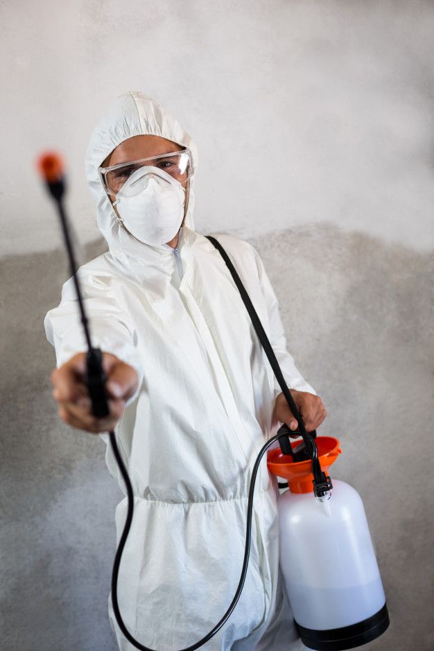 Professional Pest Control